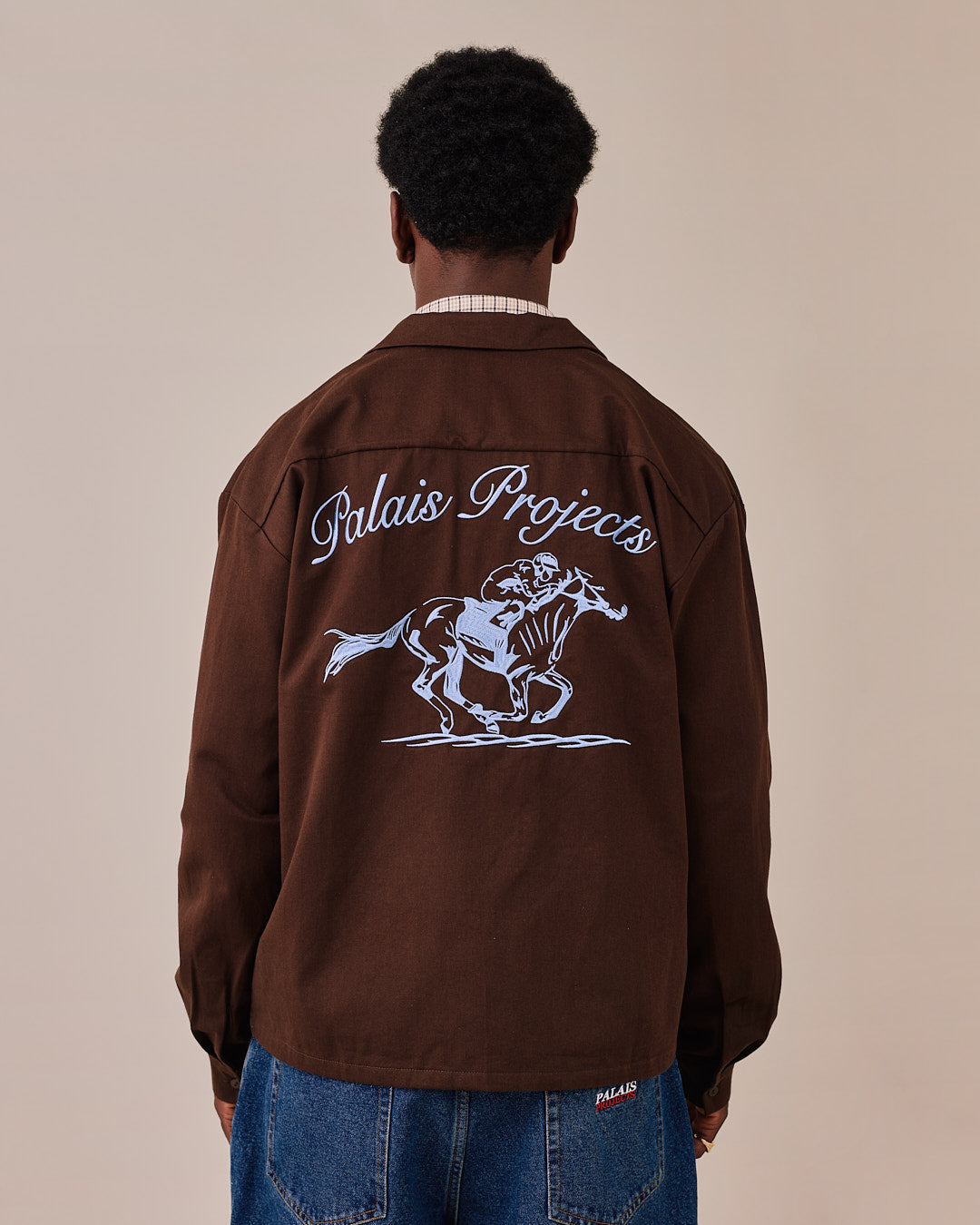 LS Canvas Horse Shirt - Brown